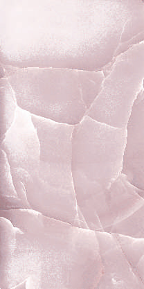 Onyx Rose