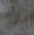Zylo Decor