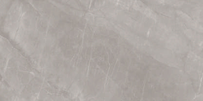 Zylo Decor